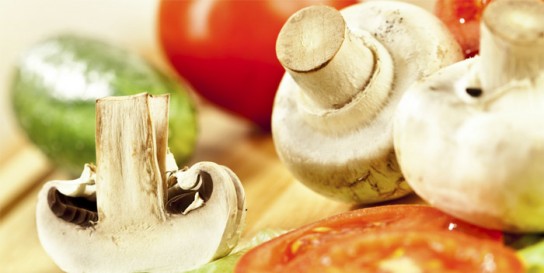 Польза грибов