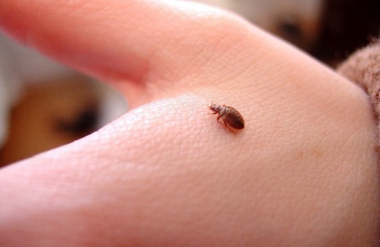 Как распознать врага?