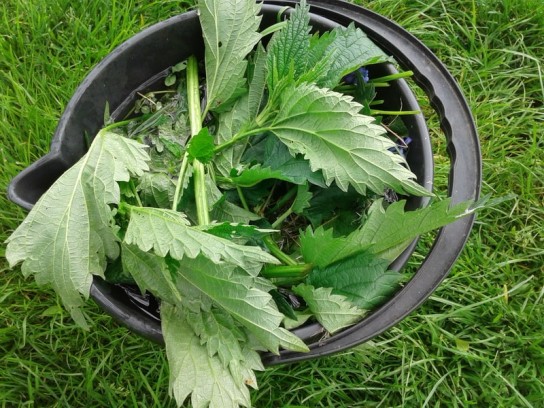 Травяное удобрение