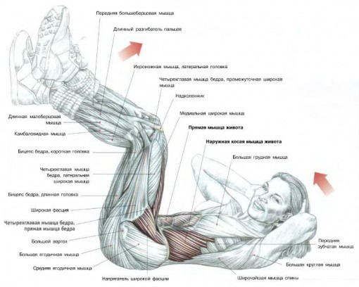 Эффективные упражнения для накачки пресса