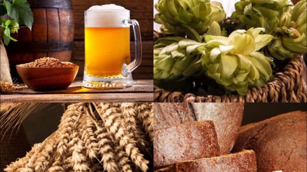 Квас с хмелем