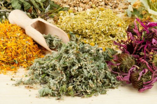 Лекарственные травы