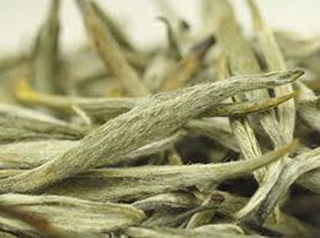 Чаинки белого чая