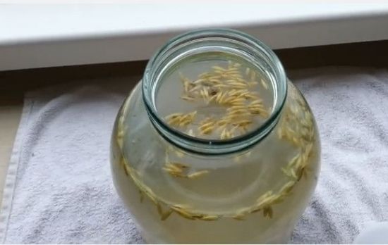 Ячменный квас