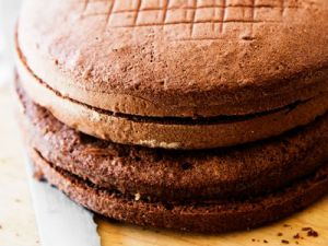 Бисквитные коржи