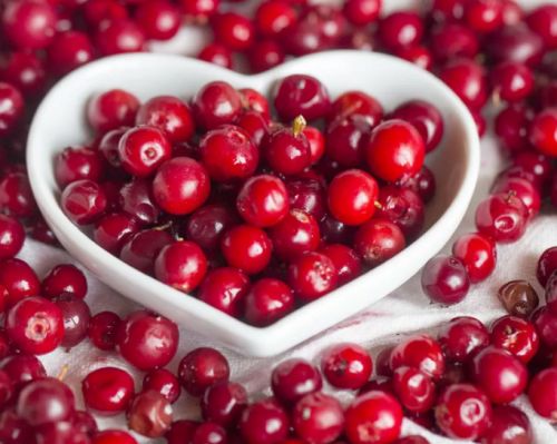 Ягоды брусники