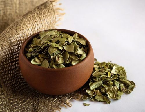 Брусничные листья