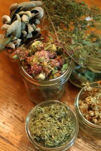 Заготовка клевера и других трав