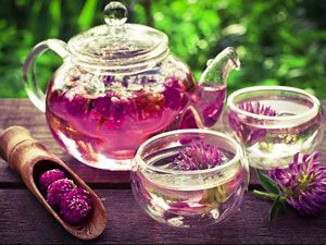 Чай из клевера