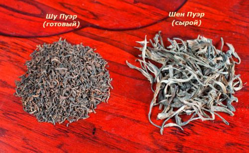 Чай пуэр сырой и готовый