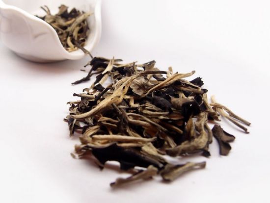 светлые листья