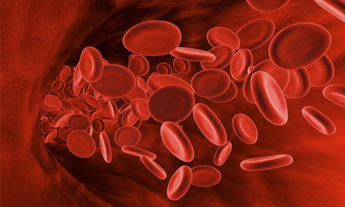 клетки крови