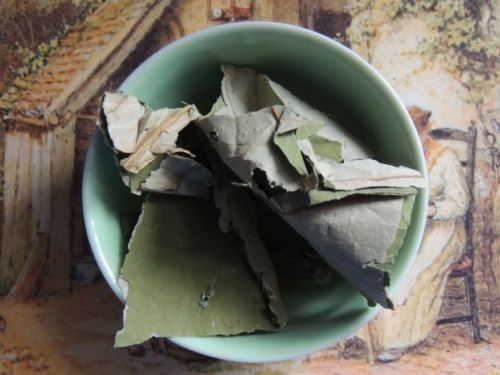 Листья лотоса