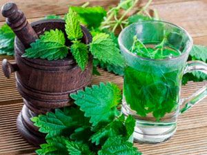 Чай из крапивы