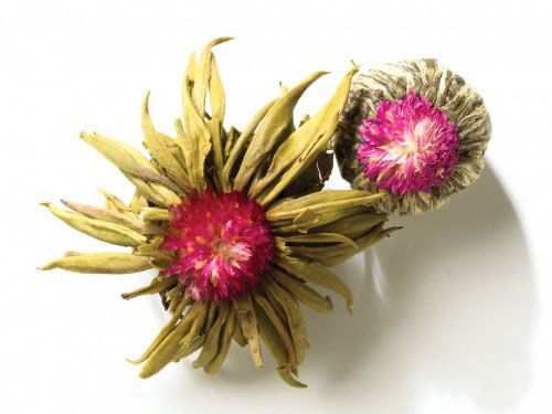 Чай цветущий Чай цветущий