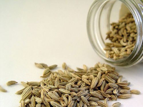 Семена фенхеля