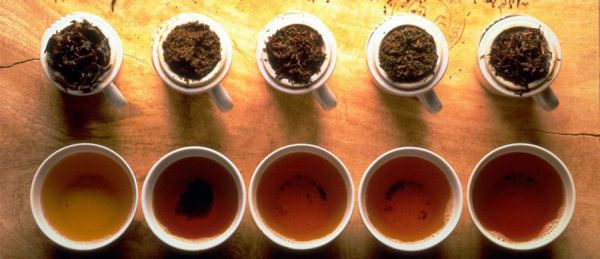 Разные сорта чая Разные сорта чая