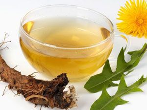Чай из корня одуванчика