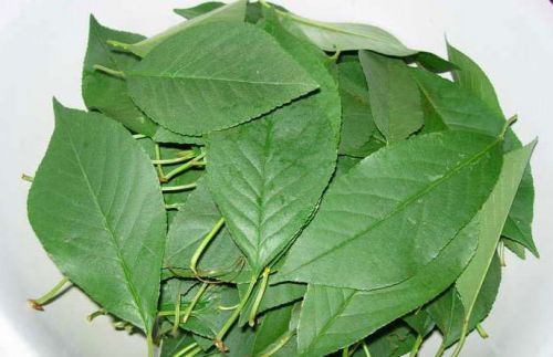 Вишневый чай