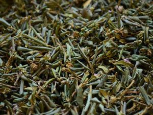 Чай Саган Дайля