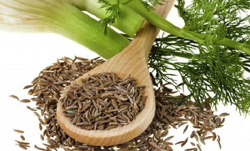 Семена фенхеля