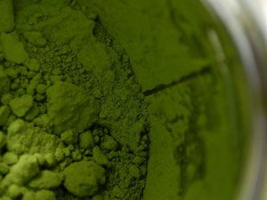 Экстракт зеленого чая