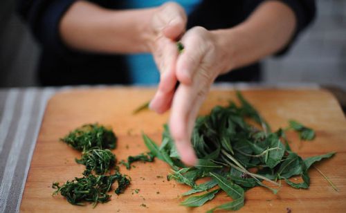 Домашняя ферментация