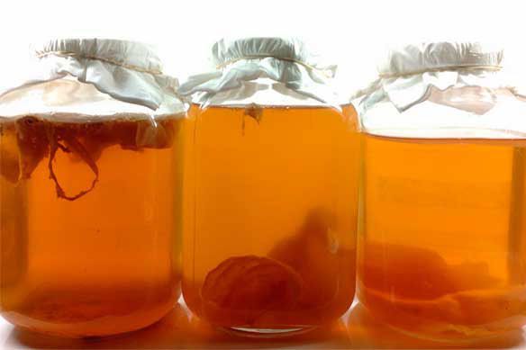 Приготовление чайного напитка из гриба Приготовление чайного напитка из гриба