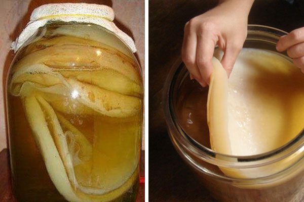 Разрастания чайного гриба Разрастание чайного гриба