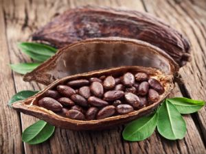 какао-бобы