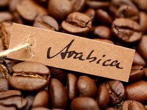 Зерна Арабики