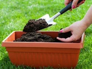 Земля для посадки растений