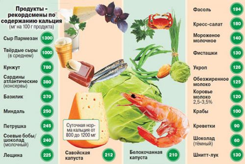 Содержание кальция в продуктах