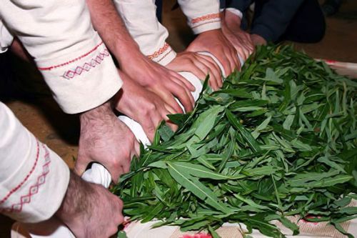 Изготовление кипрейного чая