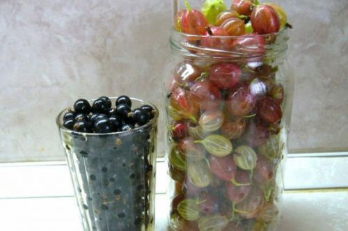 Смородина и крыжовник