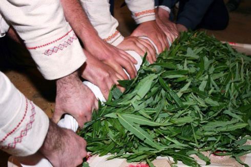 Скручивание кипрейного листа