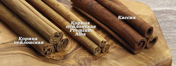 виды корицы