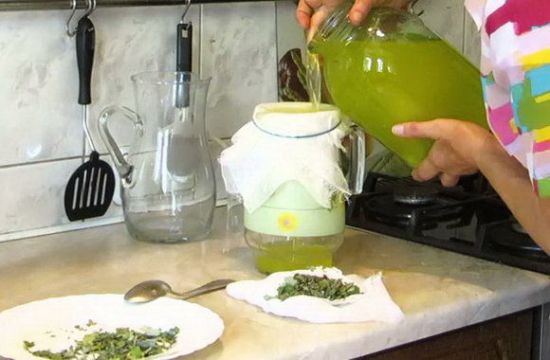 Приготовление кваса Болотова