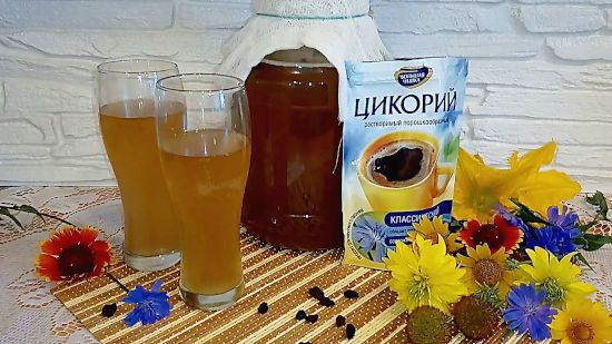 Квас из цикория