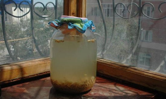 Квас из овса