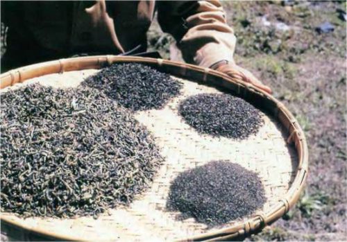 Листовой чай