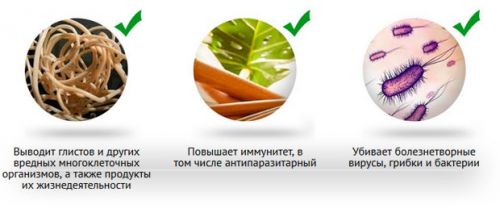 Действие монастырского чая