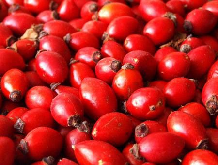 Плоды шиповника