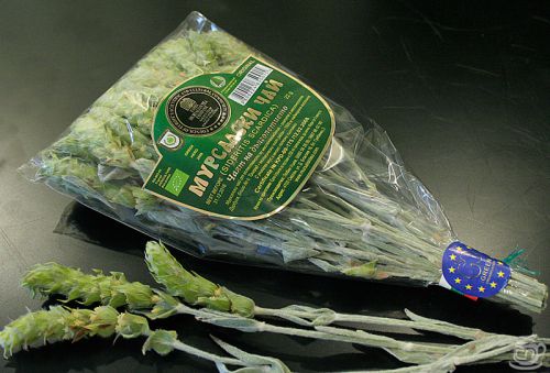 Ветки мурсальского чая