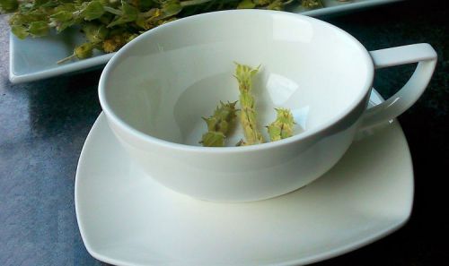 Чашка мурсальского чая