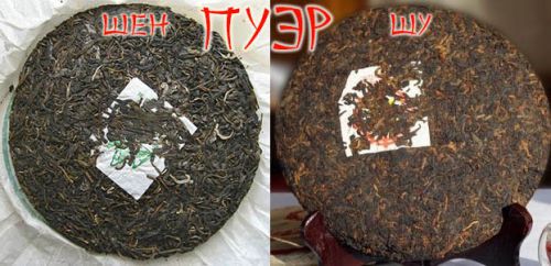 Шен и шу пуэр