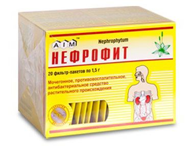 Нефродит