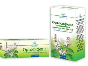 Почечный чай Ортосифон тычиночный