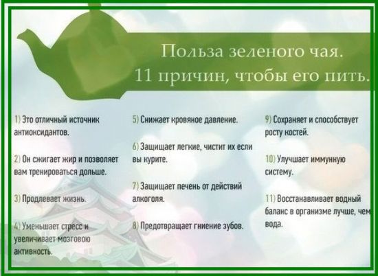 Полезные свойства зеленого чая