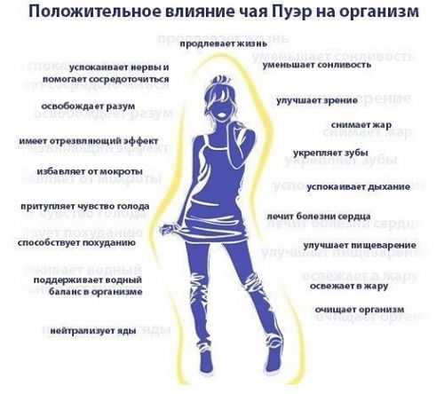 Полезные свойства пуэра